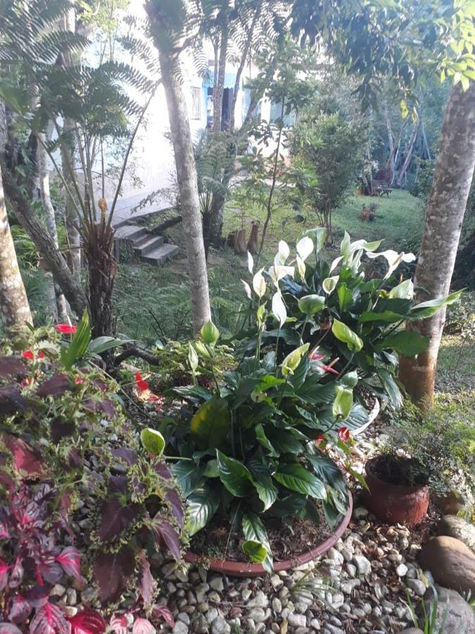 Villa Chácara da Promessa de Deus Icatuacu Exterior foto